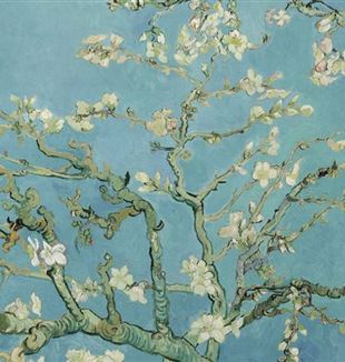 Vincent van Gogh, « Amandier en fleurs » (détail)